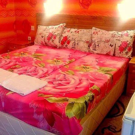 Hostel Blue Lagune-2 *